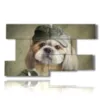 paintings dogs sports clothes - version: 9 pannelli 177x101cm