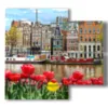 painting with photos amsterdam today with tulips - version: 4 pannelli 91x85cm