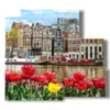 cuadro de fotos amsterdam hoy con tulipanes - version: 5 pannelli 102x93cm