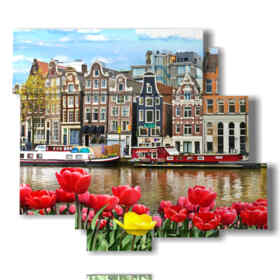 painting with photos Amsterdam today with tulips