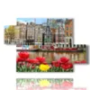 bild mit fotos amsterdam heute mit tulpen - version: 5 pannelli 128x85cm