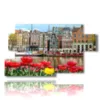 bild mit fotos amsterdam heute mit tulpen - version: 7 pannelli 157x90cm