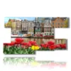 tableau avec photos amsterdam aujourd hui avec tulipes - version: 9 pannelli 177x101cm