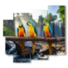 tableaux avec oiseaux perroquets - version: 5 pannelli 106x98cm