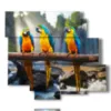 paintings with parrot birds - version: 6 pannelli 113x99cm