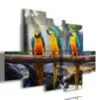 Paintings with parrots