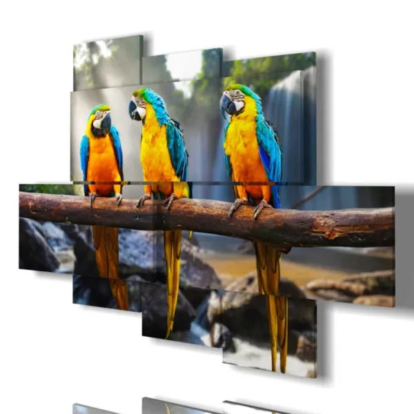 paintings with colorful birds