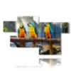paintings with parrot birds - version: 7 pannelli 175x105cm