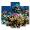 bild mit tropischen fischen - version: 5 pannelli 89x85cm