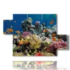 bild mit tropischen fischen - version: 5 pannelli 128x85cm
