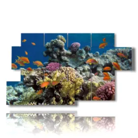 Tableaux avec des poissons