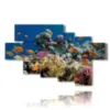 tableau avec poissons tropicaux - version: 7 pannelli 173x106cm