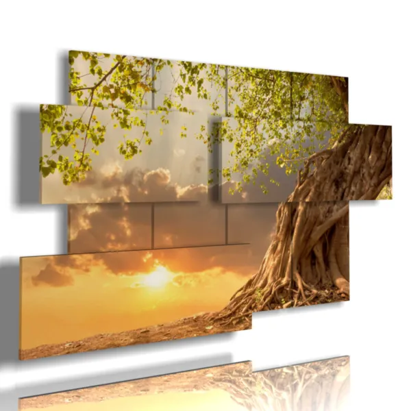 arbre carré au coucher du soleil