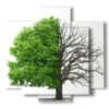 tableaux arbres stylises sans demi saisons - version: 5 pannelli 89x85cm