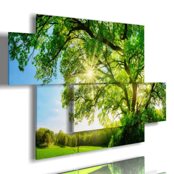 Tableaux avec des arbres modernes dont la cime est verdoyante et