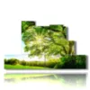 tableaux aux arbres modernes aux feuillages verts ensoleilles - version: 7 pannelli 171x101cm