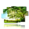 tableaux aux arbres modernes aux feuillages verts ensoleilles - version: 9 pannelli 171x108cm