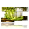 quadri con alberi autunnali nella foresta - version: 9 pannelli 177x101cm