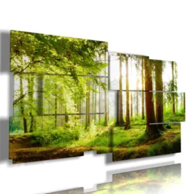 Paintings with autumnal trees in the forest.