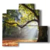 bild bunte baeume im herbst - version: 4 pannelli 83x78cm