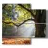 tableau arbres colores en automne - version: 4 pannelli 91x85cm