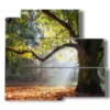bild bunte baeume im herbst - version: 5 pannelli 102x93cm