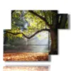 bild bunte baeume im herbst - version: 6 pannelli 122x96cm
