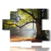 tableau arbres colores en automne - version: 6 pannelli 129x94cm