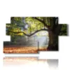 bild bunte baeume im herbst - version: 7 pannelli 157x90cm