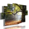 quadri alberi colorati