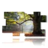 tableau arbres colores en automne - version: 10 pannelli 186x105cm