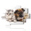 bilder mit hunden und katzenfreunden - version: 9 pannelli 164x114cm