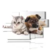 bilder mit hunden und katzenfreunden - version: 9 pannelli 171x108cm