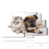 quadri con cani e gatti amici - version: 9 pannelli 173x103cm