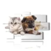 paintings with dogs and cats friends - version: 9 pannelli 182x107cm