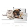 paintings with dogs and cats friends - version: 10 pannelli 183x100cm