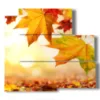 tableau avec images d automne avec soleil - version: 5 pannelli 102x93cm