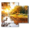 bild mit fotos von baeumen im herbst - version: 4 pannelli 91x85cm