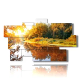 Photo d''arbres en automne