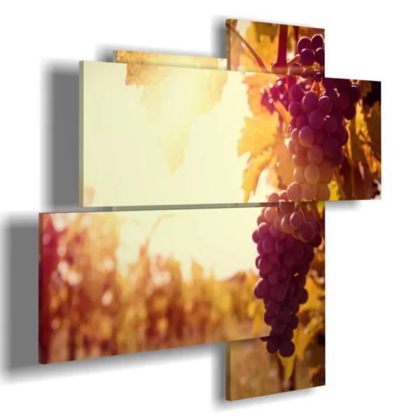 Bilder mit Herbstmotiven auf dem Land