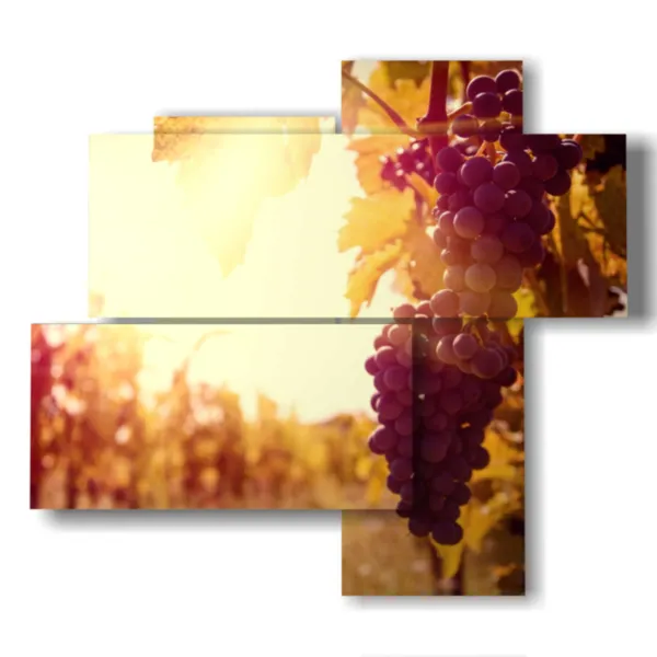 imágenes de otoño en el campo