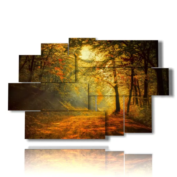 immagini autunno inverno