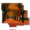tableau avec image d arbre d automne - version: 6 pannelli 113x99cm