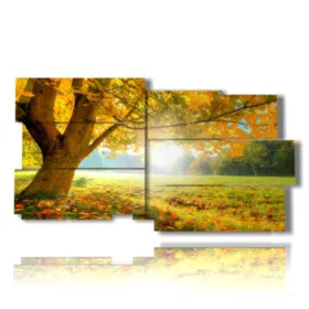 immagini di autunno con buongiorno