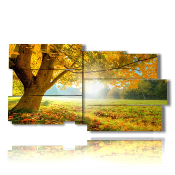 immagini di autunno con buongiorno