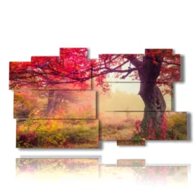 Photos d''automne mignonnes