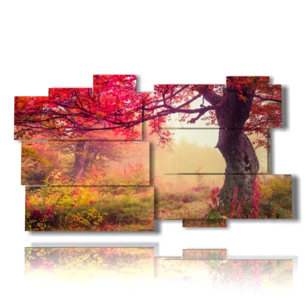 Photos d''automne mignonnes