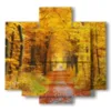quadro con foto bosco in autunno - version: 5 pannelli 89x85cm