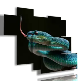 cuadros de animales de montaña coloridos