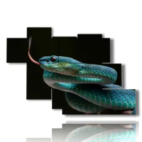 Cuadros de animales de montaña